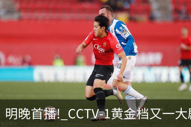 明晚首播! CCTV-1黄金档又一大剧开播, 接档《藏锋》，这剧开播必火